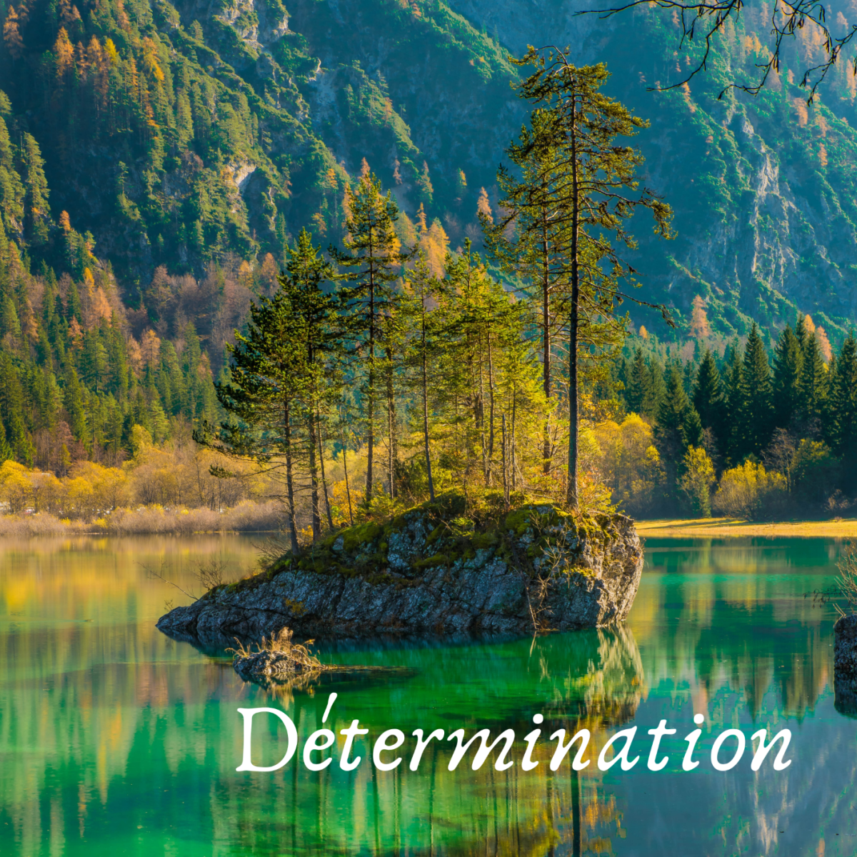 Voyage intérieur 2020. Étape 57:&nbsp;Détermination.