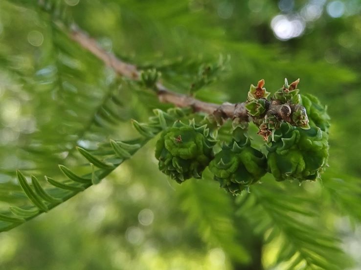 Une étape de&nbsp;plus